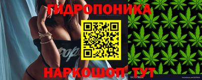 герыч Боровичи
