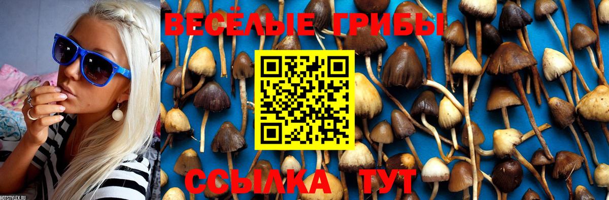 Псилоцибиновые грибы Cubensis Самара